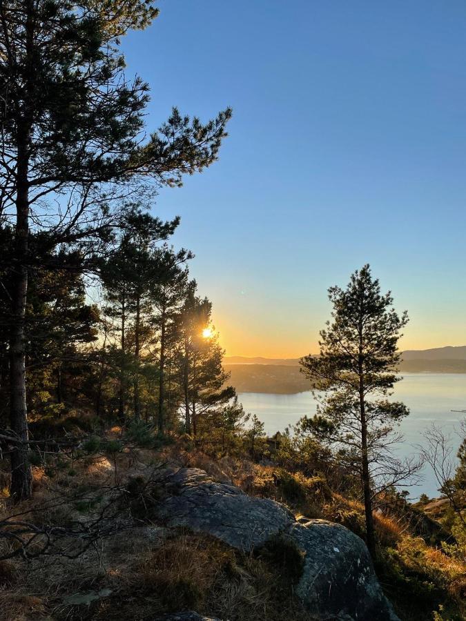 With Sea View! Apartamento Bergen